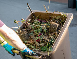 Garden waste